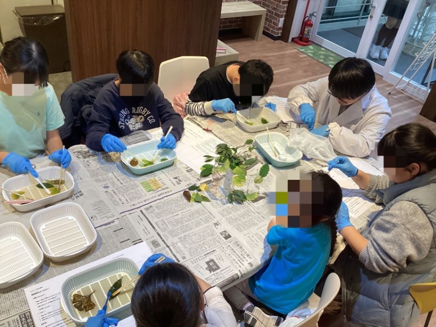 葉脈標本作りイベントの様子です！